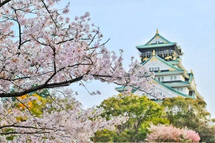 Trip to Japan