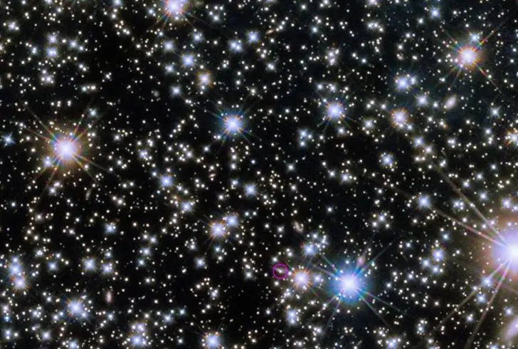 Cosmic Spectacle: The Afterglow of the Brightest GRB.