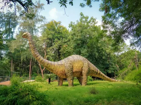 Ancient Fossil Fruits Reveal Flowering Plants Thrived Alongside Dinosaurs for Millennia