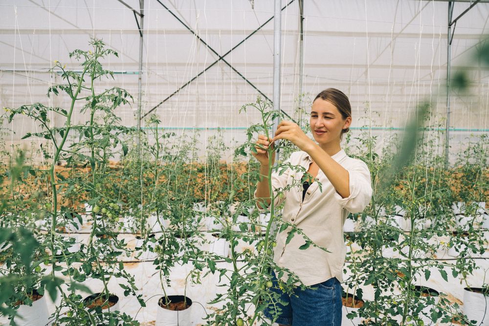 Why Growing Your Own Food Is One of the Smartest Decisions You Can Make