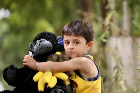 Here’s Why Kids and Monkeys Share the Same Innate Grasp of Abstract Geometry